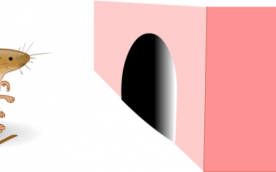 Las plagas más habituales en invierno